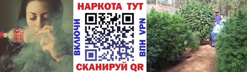 Где найти наркотики Тара Конопля  Амфетамин  NBOMe  ГАШ  Меф  Alpha-PVP 