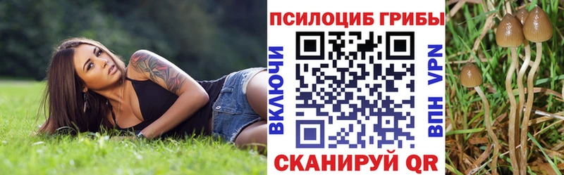 купить наркотик Тара Псилоцибиновые грибы Psilocybe